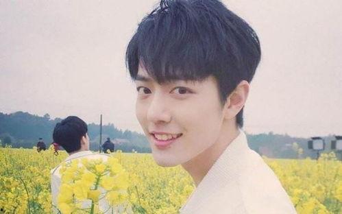 圈内人爆料杨紫肖战最新,神秘新剧引期待 第2张 圈内人爆料杨紫肖战最新,神秘新剧引期待 第2张